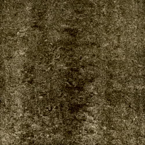 Lounge Beige Polished 60x60cm (box of 4)