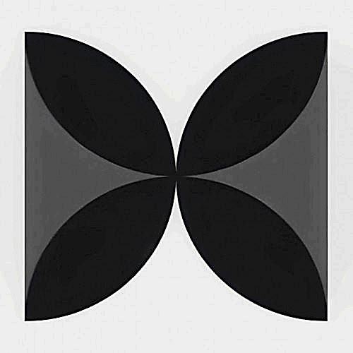 Symphony Grey Matt 20x20cm Petals B (box of 14)