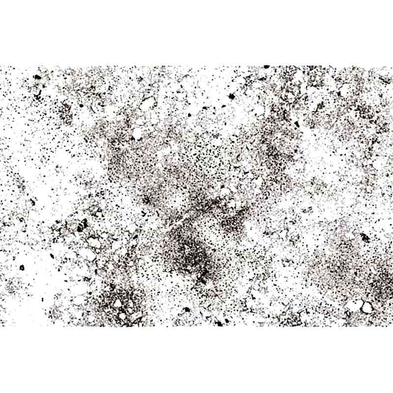Cement Ceppo White 60x90cm 20mm (box of 1) Cement Ceppo White 60x90cm 20mm (box of 1)
