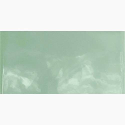 Monocolours Alga Liso Gloss 10x20cm (box of 50)