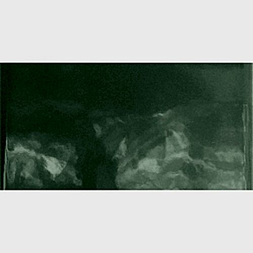 Monocolours Alga Liso Gloss 10x20cm (box of 50)