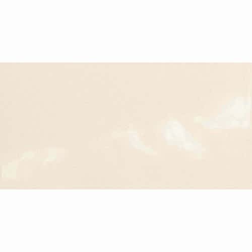 Monocolours Hueso Liso Gloss 10x20cm (box of 50)
