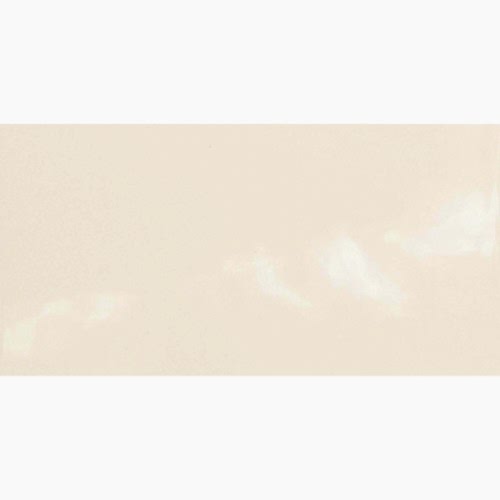 Monocolours Hueso Liso Gloss 10x20cm (box of 50)