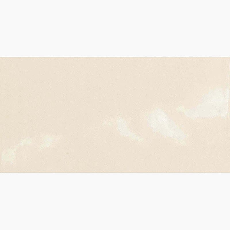 Monocolours Hueso Liso Gloss 10x20cm (box of 50)