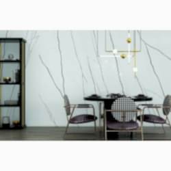 Venato Marble
