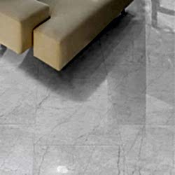 Carrara Gioia